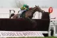 Limerick Lace ridden by Keith Donoghue on their way to winni