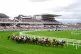 Runners and riders in the William Hill Handicap Hurdle on da