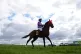 Dark Thirty ridden by Sean Levey before the Weatherbys Globa