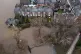 A fallen tree in flood water in York, January 23, 2024 