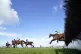 Spillane's Tower ridden by Mark Walsh on their way to winnin