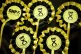 SNP rosettes on show at the SEC, Glasgow, 2018