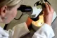 A woman looking at matter under a microscope