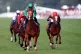 Calandagan ridden by Stephane Pasquier on their way to winni