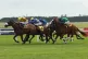 Star Harbour ridden by Adam Caffrey on their way to winning 