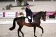 Team GB Equestrian Lee Pearson at the 2020 Tokyo Paralympics