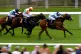  Darkness ridden by jockey Neil Callan (right) at Goodwood, 