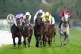Skellet ridden by Hector Crouch (centre) on their way to win