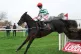 Firefox ridden by Sam Ewing on their way to winning the Mong