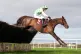 Celebre D'Allen ridden by jockey Callum Pritchard on their w
