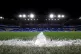 The Cardiff City Stadium, Wales