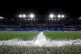 The Cardiff City Stadium, Wales