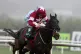 Wendrock ridden by Jockey Sam Ewing on their way to winning 