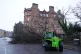 A fallen tree on Regent Road, Edinburgh, January 24, 2025