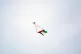 A drone carrying the flag of Palestine flies over Twickenham