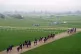 Willie Mullins trained horses on the gallops at Cheltenham R