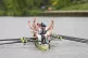 Cambridge men's team celebrate victory over Oxford in The 17