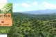 DAMAGING MONOCULTURE: A palm oil plantation in Cigudeg, Bogo