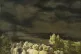 Dark times: Richard Oelze’s 1936 painting The Expectation