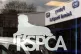 The RSPCA logo at the RSPCA Animal Hospital in Putney

