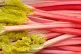 Rhubarb
