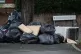 Rubbish bags piled up next to a tree in Edgebaston Road East