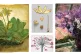 (L to R) Albrecht Durer, Tuft of Cowslips or Primula (1526);