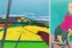 Too Much Yellow, 2018, and Tom Shakespeare-Intellect, with W