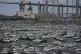 New Toyota vehicles are stored at the Toyota Logistics Servi