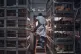 A worker grabs a chicken to slaughter inside a poultry store