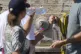 People queue at a fountain in St. Peter's Square on a hot da