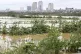 A banana garden is submerged in flood, following Typhoon Yag