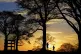 Walkers take an evening stroll near Gretna, Dumfries and Gal