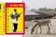 Donkeys and boats in Niafunké, Ali Farka Touré's hometown,