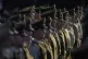 The refusal to reform the ‘carabineros’ police force by 