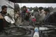 Migrants receive food delivered by Belarusian officials in t