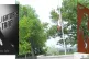 The Mackenzie-Papineau Battalion monument, in Ottawa, rememb