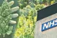 Medical cannabis has been legal in Britain since 2018. There