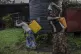 Zawadi Sifa, right, 35, mother of seven, who has been fleein