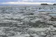 A major coral bleaching event at the Great Barrier Reef in A