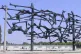 The Dachau concentration camp memorial by Yugoslav sculptor 