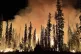 ONLY THE BEGINNING: Forest fire at Umatilla National Forest,