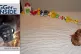 Quinn, an autistic boy, and the line of toys he made before 