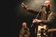 Half Man Half Biscuit in 2015