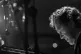 Musical maestro: Keith Tippett