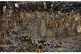 Anselm Kiefer, Wer jetzt kein Haus hat (Whoever has no House