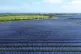 TESTED ALTERNATIVE: Romney Marsh Solar Farm in Kent which co
