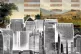 Commercial developers have been major beneficiaries of priva