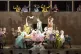 RULING CLASS SHENANIGANS: The cast of Rigoletto