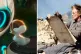 (L) The wild Robot; (R) A Sudden Glimpse to Deeper Things